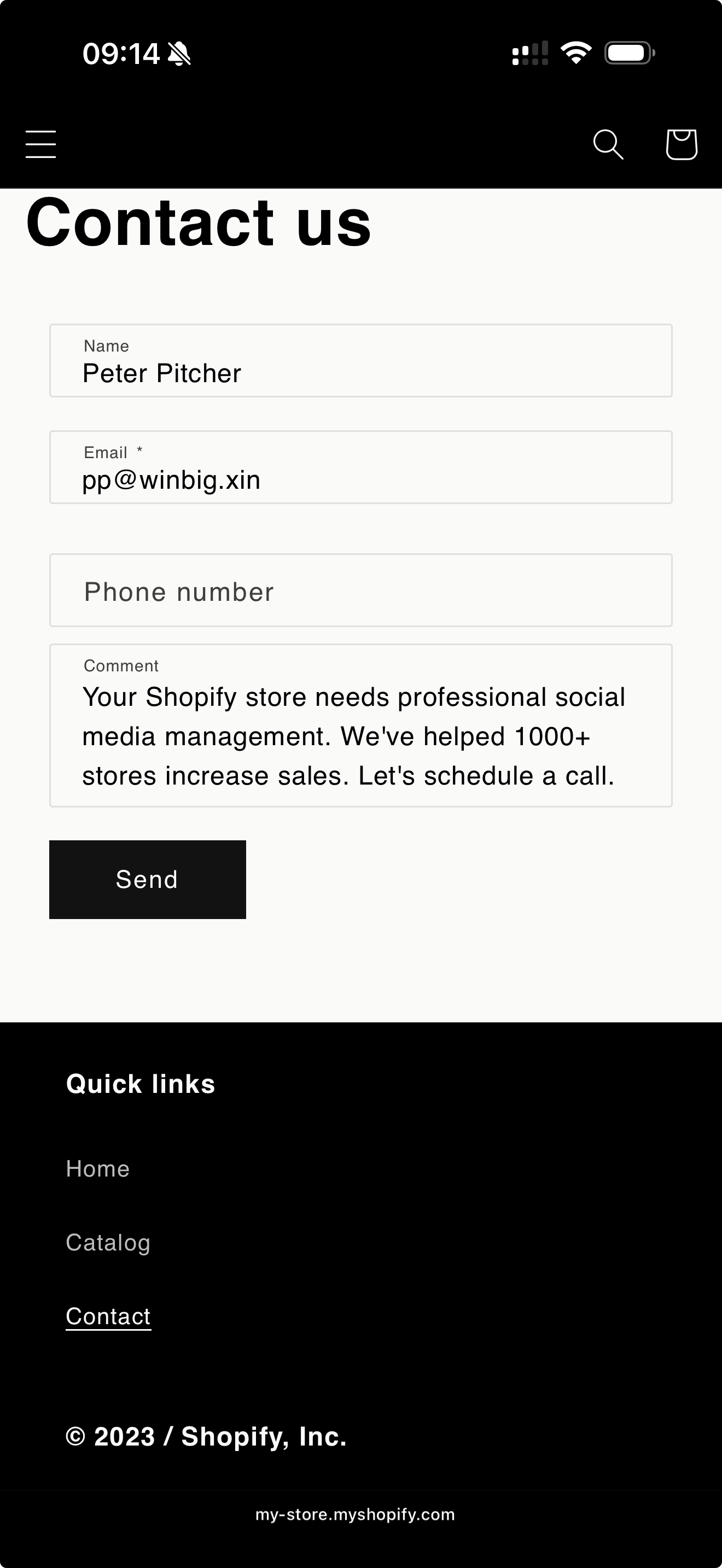 Crypto scam submission filtered from Shopify store contact form
